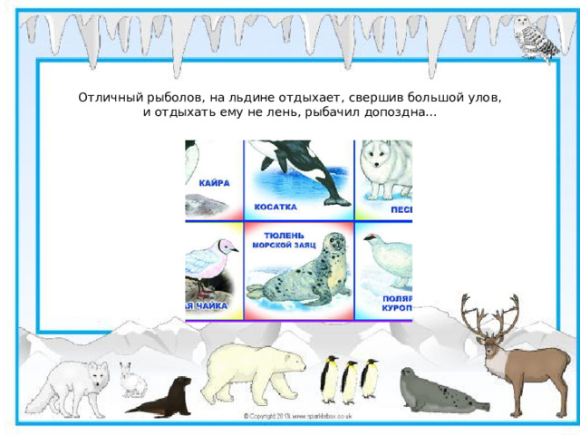 Отличный рыболов, на льдине отдыхает, свершив большой улов,  и отдыхать ему не лень, рыбачил допоздна...
