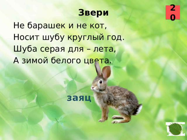 20 Звери   Не барашек и не кот, Носит шубу круглый год. Шуба серая для – лета, А зимой белого цвета.  заяц 11