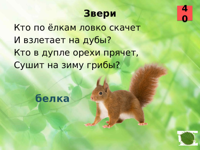 40 Звери   Кто по ёлкам ловко скачет И взлетает на дубы? Кто в дупле орехи прячет, Сушит на зиму грибы?  белка 13