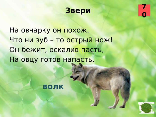 70 Звери   На овчарку он похож. Что ни зуб – то острый нож! Он бежит, оскалив пасть, На овцу готов напасть.  волк 16