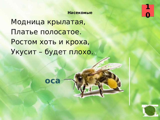 10  Насекомые    Модница крылатая, Платье полосатое. Ростом хоть и кроха, Укусит – будет плохо.  оса 17