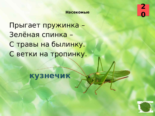 20  Насекомые    Прыгает пружинка – Зелёная спинка – С травы на былинку. С ветки на тропинку.  кузнечик 18