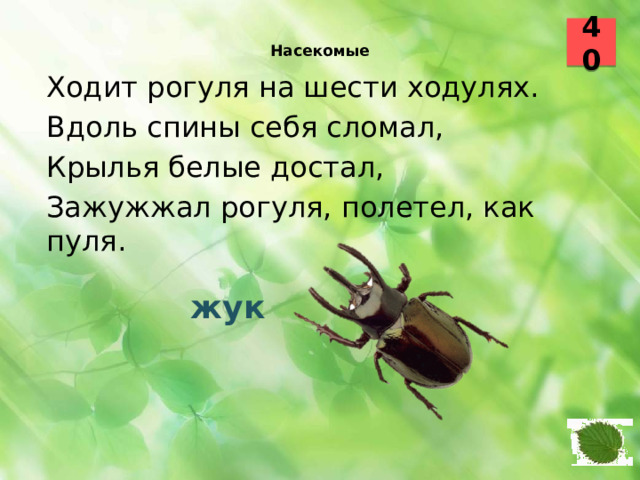 40  Насекомые    Ходит рогуля на шести ходулях. Вдоль спины себя сломал, Крылья белые достал, Зажужжал рогуля, полетел, как пуля.  жук 20