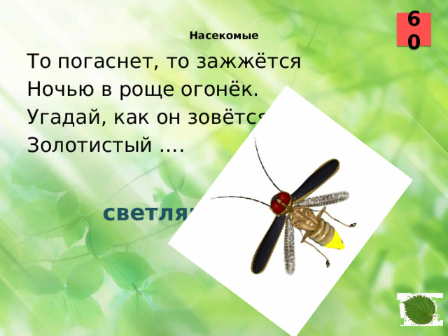 60  Насекомые    То погаснет, то зажжётся Ночью в роще огонёк. Угадай, как он зовётся? Золотистый ….  светлячок 22