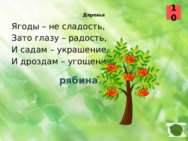 10  Деревья    Ягоды – не сладость, Зато глазу – радость, И садам – украшение, И дроздам – угощение.  рябина 24
