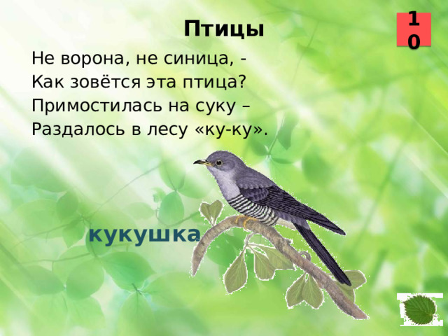 10 Птицы   Не ворона, не синица, - Как зовётся эта птица? Примостилась на суку – Раздалось в лесу «ку-ку».  кукушка