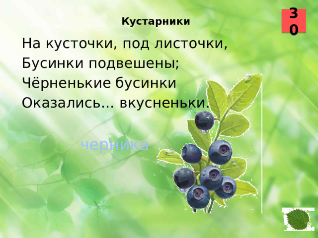 Кустарники   30 На кусточки, под листочки, Бусинки подвешены; Чёрненькие бусинки Оказались… вкусненьки.  черника  33 34