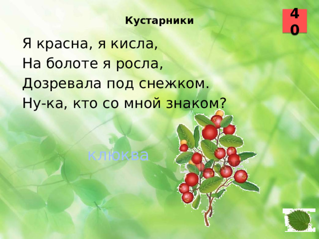 Кустарники   40 Я красна, я кисла, На болоте я росла, Дозревала под снежком. Ну-ка, кто со мной знаком?  клюква  34 35