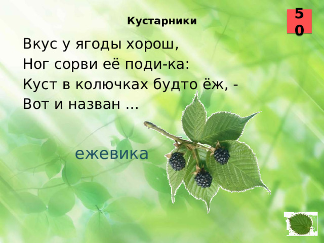 Кустарники   50 Вкус у ягоды хорош, Ног сорви её поди-ка: Куст в колючках будто ёж, - Вот и назван …  ежевика 35 36