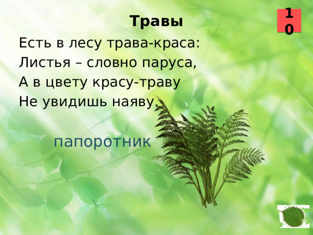 10 Травы   Есть в лесу трава-краса: Листья – словно паруса, А в цвету красу-траву Не увидишь наяву. папоротник  38 39