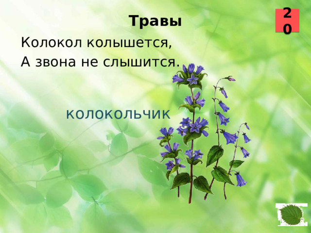 20 Травы   Колокол колышется, А звона не слышится.  колокольчик  39 40