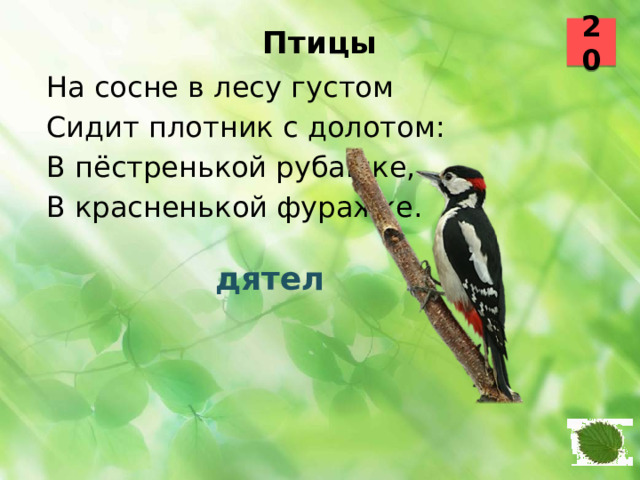 20 Птицы   На сосне в лесу густом Сидит плотник с долотом: В пёстренькой рубашке, В красненькой фуражке.  дятел
