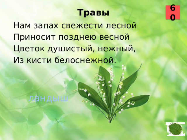 60 Травы   Нам запах свежести лесной Приносит позднею весной Цветок душистый, нежный, Из кисти белоснежной. ландыш 43 44