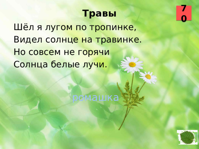 70 Травы   Шёл я лугом по тропинке, Видел солнце на травинке. Но совсем не горячи Солнца белые лучи.  ромашка 44 45