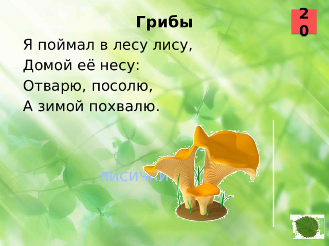 20 Грибы   Я поймал в лесу лису, Домой её несу: Отварю, посолю, А зимой похвалю.  лисички 46 47