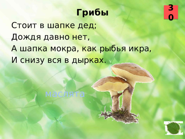 30 Грибы   Стоит в шапке дед; Дождя давно нет, А шапка мокра, как рыбья икра, И снизу вся в дырках.  маслята 47 48