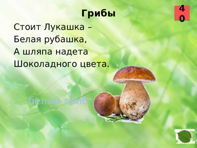 40 Грибы   Стоит Лукашка – Белая рубашка, А шляпа надета Шоколадного цвета. белый гриб 48 49