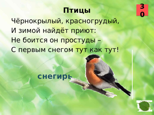 30 Птицы   Чёрнокрылый, красногрудый, И зимой найдёт приют: Не боится он простуды – С первым снегом тут как тут!  снегирь 5