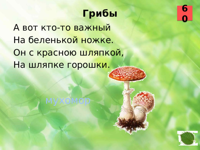 60 Грибы   А вот кто-то важный На беленькой ножке. Он с красною шляпкой, На шляпке горошки.  мухомор 50 51
