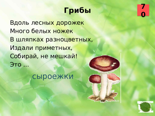 70 Грибы   Вдоль лесных дорожек Много белых ножек В шляпках разноцветных, Издали приметных, Собирай, не мешкай! Это … сыроежки 51 52