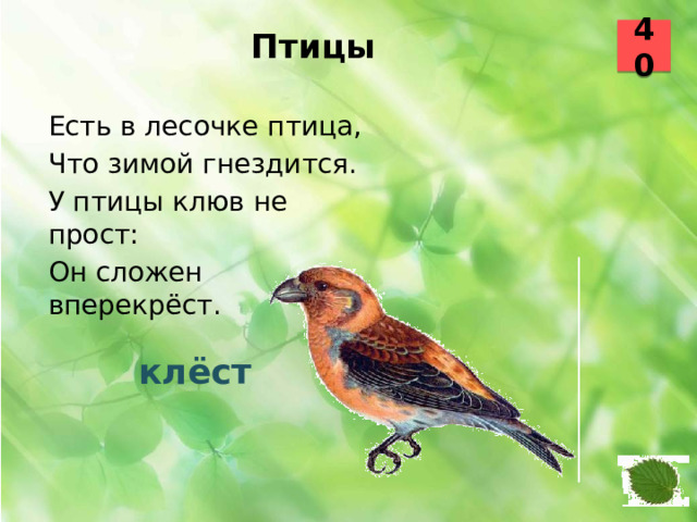 40 Птицы   Есть в лесочке птица, Что зимой гнездится. У птицы клюв не прост: Он сложен вперекрёст.  клёст 6