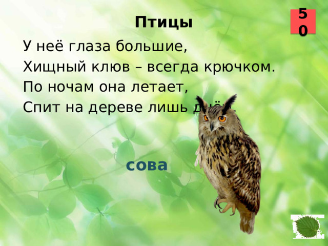 50 Птицы   У неё глаза большие, Хищный клюв – всегда крючком. По ночам она летает, Спит на дереве лишь днём.  сова 7