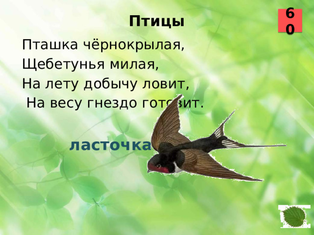 60 Птицы   Пташка чёрнокрылая, Щебетунья милая, На лету добычу ловит,  На весу гнездо готовит.  ласточка 8