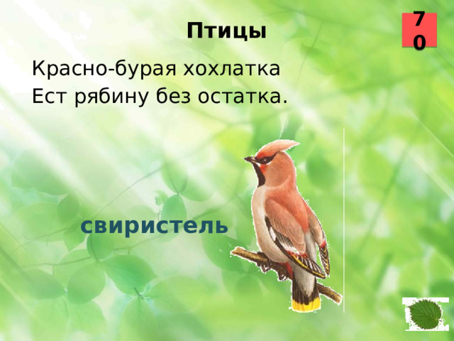 70 Птицы   Красно-бурая хохлатка Ест рябину без остатка.  свиристель 9