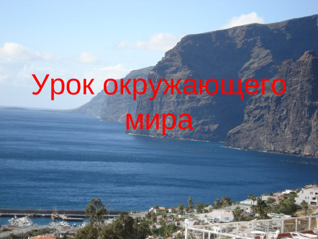 Урок окружающего мира