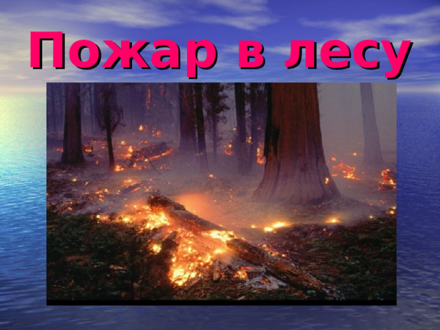 Пожар в лесу