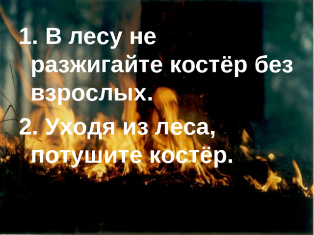 1. В лесу не разжигайте костёр без взрослых. 2. Уходя из леса, потушите костёр.