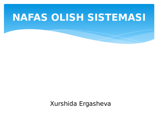NAFAS OLISH SISTEMASI Xurshida Ergasheva