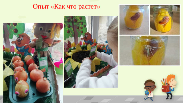 Опыт «Как что растет»
