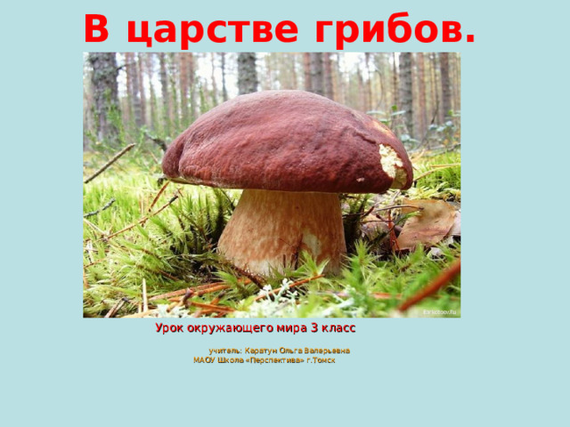 В царстве грибов.  Урок окружающего мира 3 класс   учитель: Каратун Ольга Валерьевна МАОУ Школа «Перспектива» г.Томск