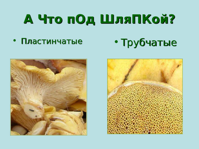 А Что пОд ШляПКой?