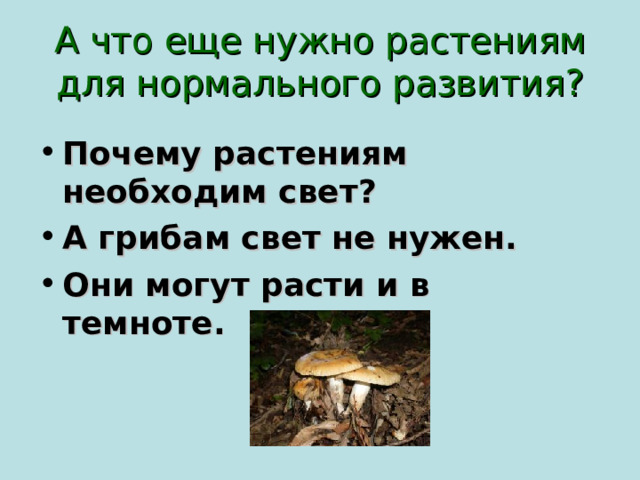 А что еще нужно растениям для нормального развития?