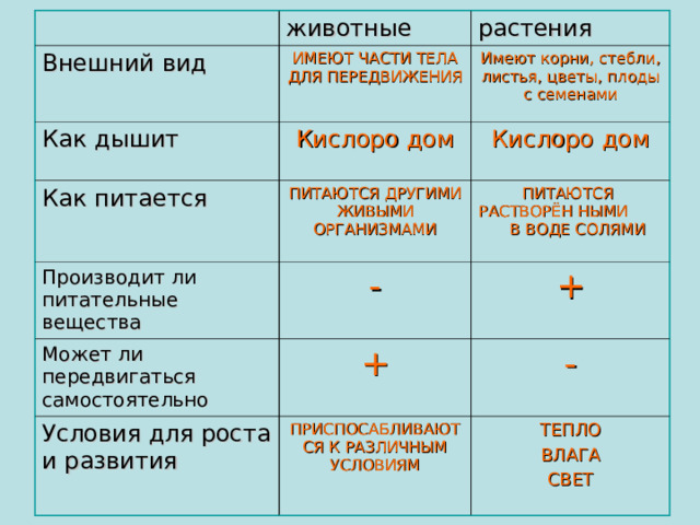Внешний вид животные Как дышит ИМЕЮТ ЧАСТИ ТЕЛА ДЛЯ ПЕРЕДВИЖЕНИЯ растения Имеют корни, стебли, листья, цветы, плоды с семенами Кислоро дом Как питается Кислоро дом Производит ли питательные вещества ПИТАЮТСЯ ДРУГИМИ ЖИВЫМИ ОРГАНИЗМАМИ Может ли передвигаться самостоятельно ПИТАЮТСЯ РАСТВОРЁН НЫМИ В ВОДЕ СОЛЯМИ - + Условия для роста и развития + - ПРИСПОСАБЛИВАЮТСЯ К РАЗЛИЧНЫМ УСЛОВИЯМ ТЕПЛО ВЛАГА СВЕТ