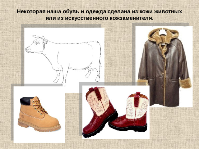 Некоторая наша обувь и одежда сделана из кожи животных или из искусственного кожзаменителя.