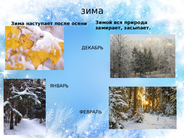 зима Зима наступает после осени Зимой вся природа замирает, засыпает. ДЕКАБРЬ ЯНВАРЬ ФЕВРАЛЬ