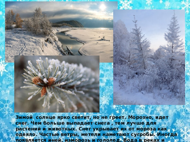 Зимой солнце ярко светит, но не греет. Морозно, идет снег. Чем больше выпадает снега , тем лучше для растений и животных. Снег укрывает их от мороза как одеяло. Частые ветры, метели наметают сугробы. Иногда появляется иней, изморозь и гололед. Вода в реках и прудах замерзает.