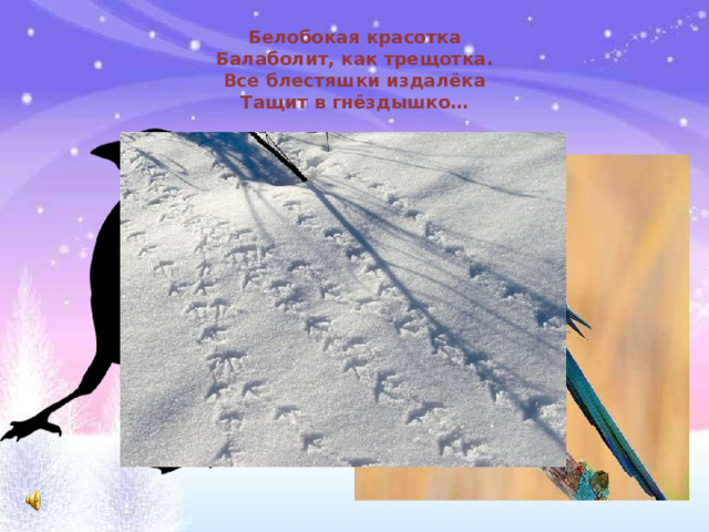 Белобокая красотка  Балаболит, как трещотка.  Все блестяшки издалёка  Тащит в гнёздышко…