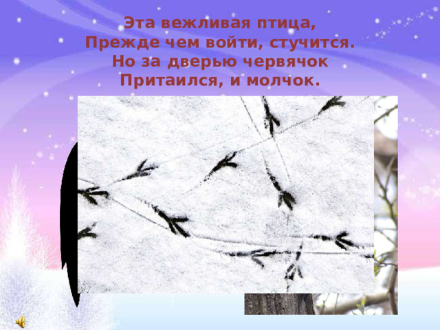 Эта вежливая птица,  Прежде чем войти, стучится.  Но за дверью червячок  Притаился, и молчок.