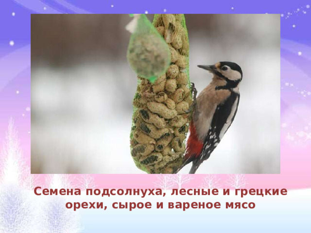 Семена подсолнуха, лесные и грецкие орехи, сырое и вареное мясо