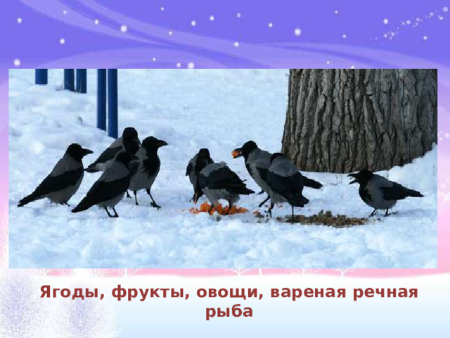 Ягоды, фрукты, овощи, вареная речная рыба