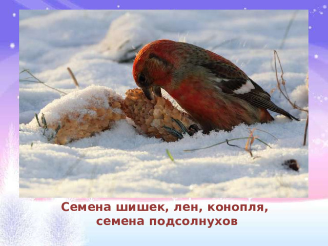 Семена шишек, лен, конопля,   семена подсолнухов