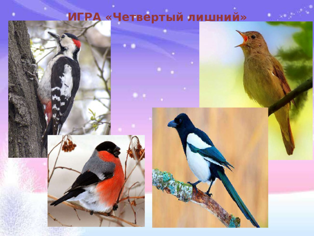 ИГРА «Четвертый лишний»