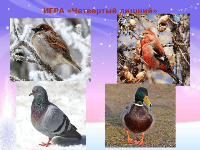 ИГРА «Четвертый лишний»