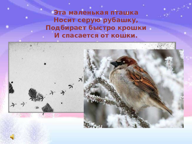 Эта маленькая пташка  Носит серую рубашку,  Подбирает быстро крошки  И спасается от кошки.