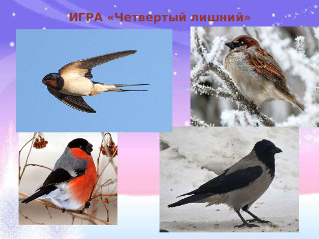 ИГРА «Четвертый лишний»