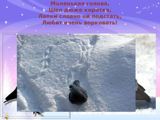 Маленькая голова,  Шея дюже коротка,  Лапки словно ей подстать,  Любит очень ворковать!